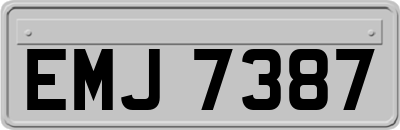 EMJ7387