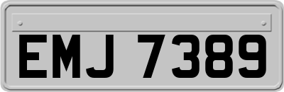 EMJ7389