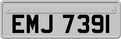 EMJ7391