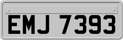 EMJ7393