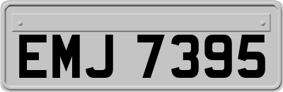 EMJ7395