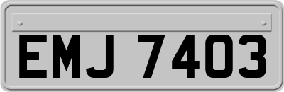 EMJ7403