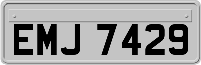 EMJ7429