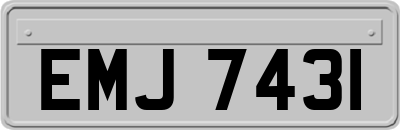EMJ7431