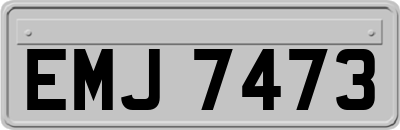 EMJ7473