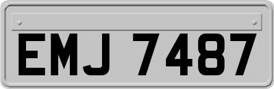 EMJ7487