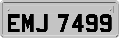 EMJ7499