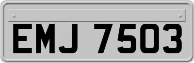 EMJ7503