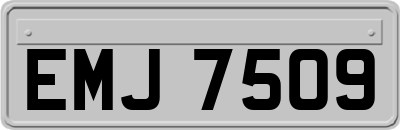 EMJ7509