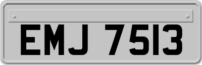 EMJ7513