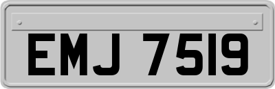 EMJ7519