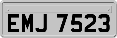 EMJ7523