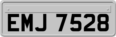 EMJ7528