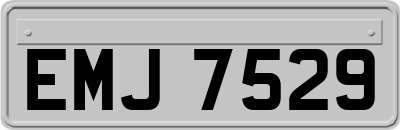 EMJ7529