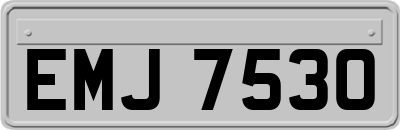 EMJ7530