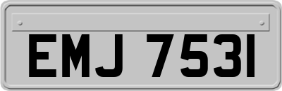 EMJ7531
