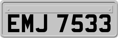 EMJ7533