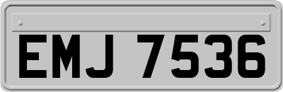 EMJ7536