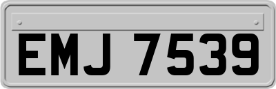 EMJ7539