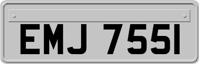 EMJ7551