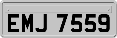 EMJ7559