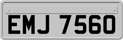 EMJ7560