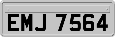 EMJ7564