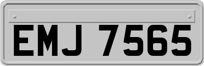 EMJ7565
