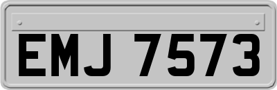 EMJ7573