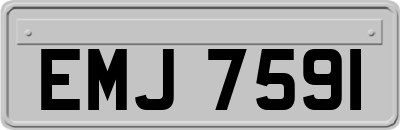 EMJ7591