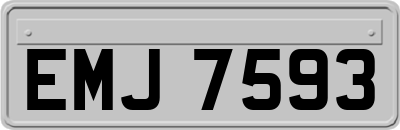 EMJ7593