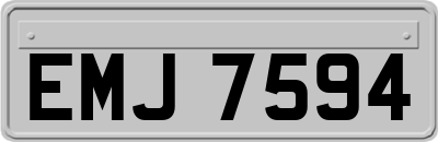 EMJ7594