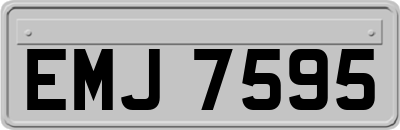 EMJ7595