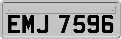 EMJ7596