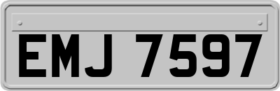 EMJ7597