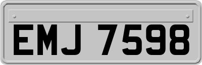 EMJ7598