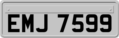 EMJ7599