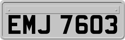 EMJ7603