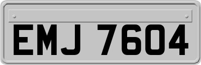 EMJ7604