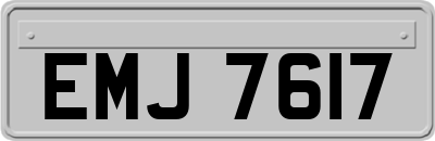 EMJ7617