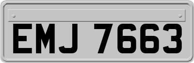 EMJ7663