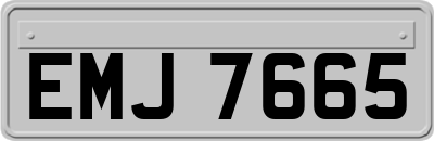 EMJ7665