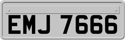 EMJ7666