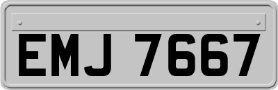 EMJ7667