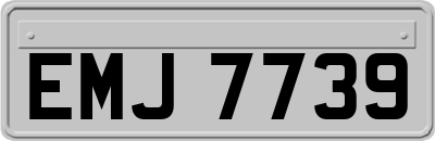 EMJ7739