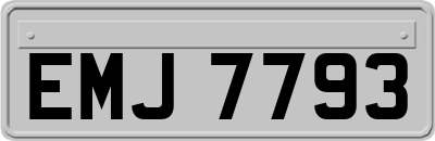 EMJ7793