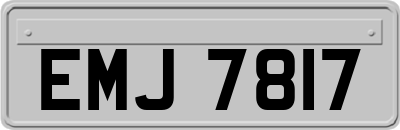 EMJ7817