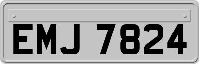 EMJ7824