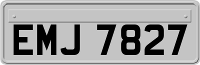 EMJ7827