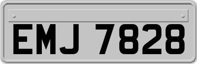 EMJ7828